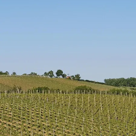 Lakeview Penthouse *